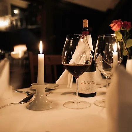 ヴァイサー ボック ホテル 3*