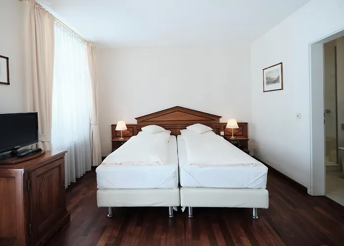 维泽博克酒店 3* 海德堡